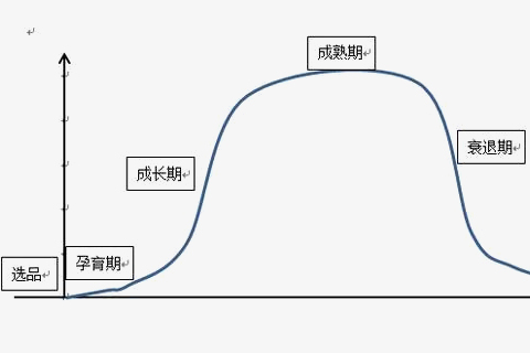 爆款的生命周期主要分為哪四個(gè)階段